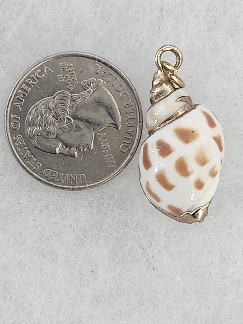 Seashell Pendant Brown & White With Gold Tone Trim & Bail - Picture 11 of 11